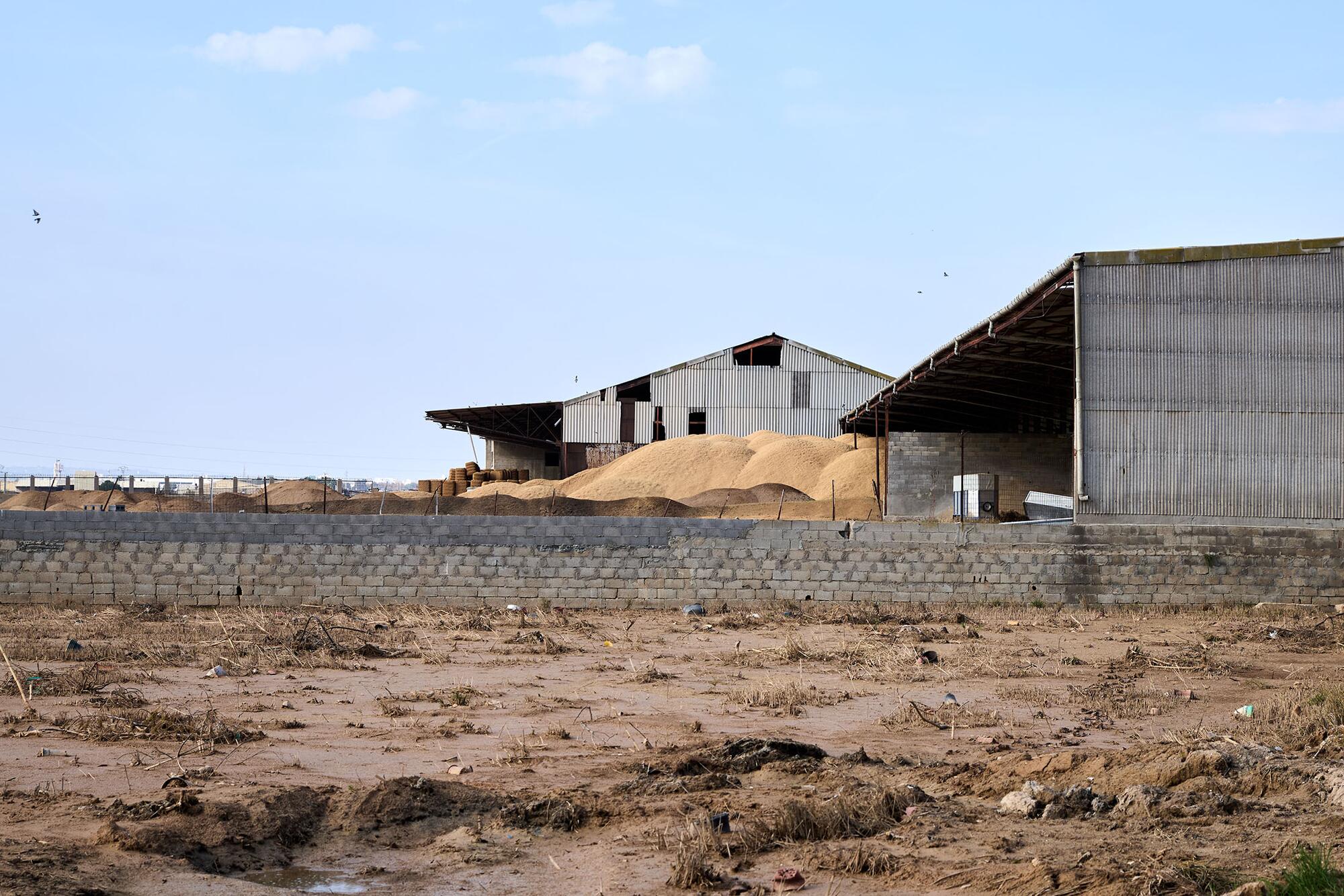 Galería Aniversario Dana 29-10-25 - 32